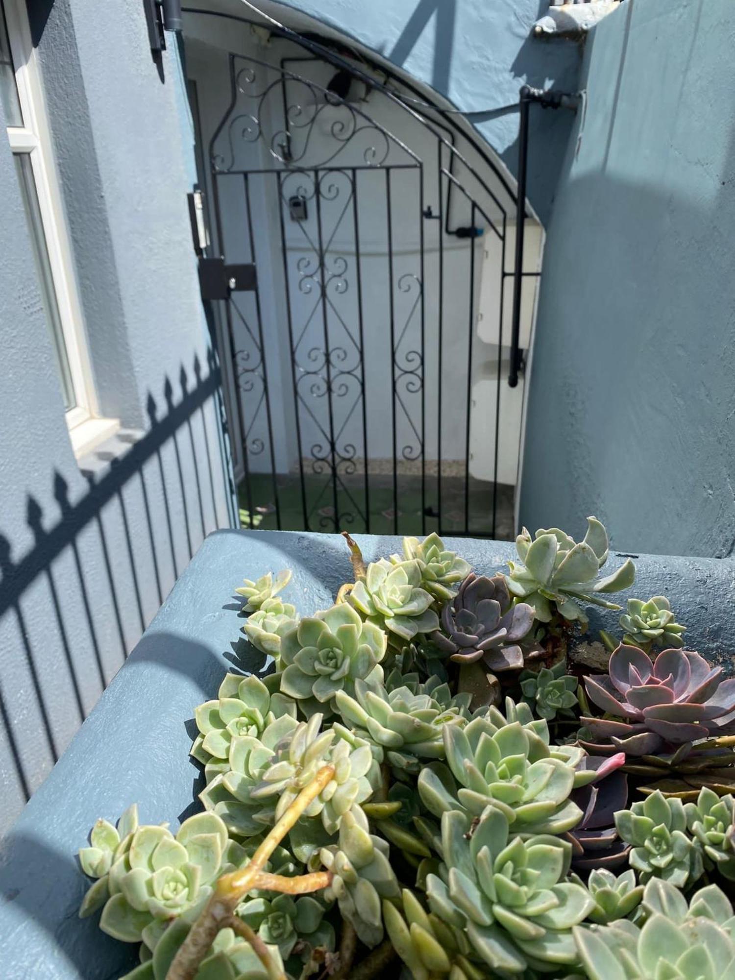 Kemptown Courtyard Apartment Brighton Exterior foto